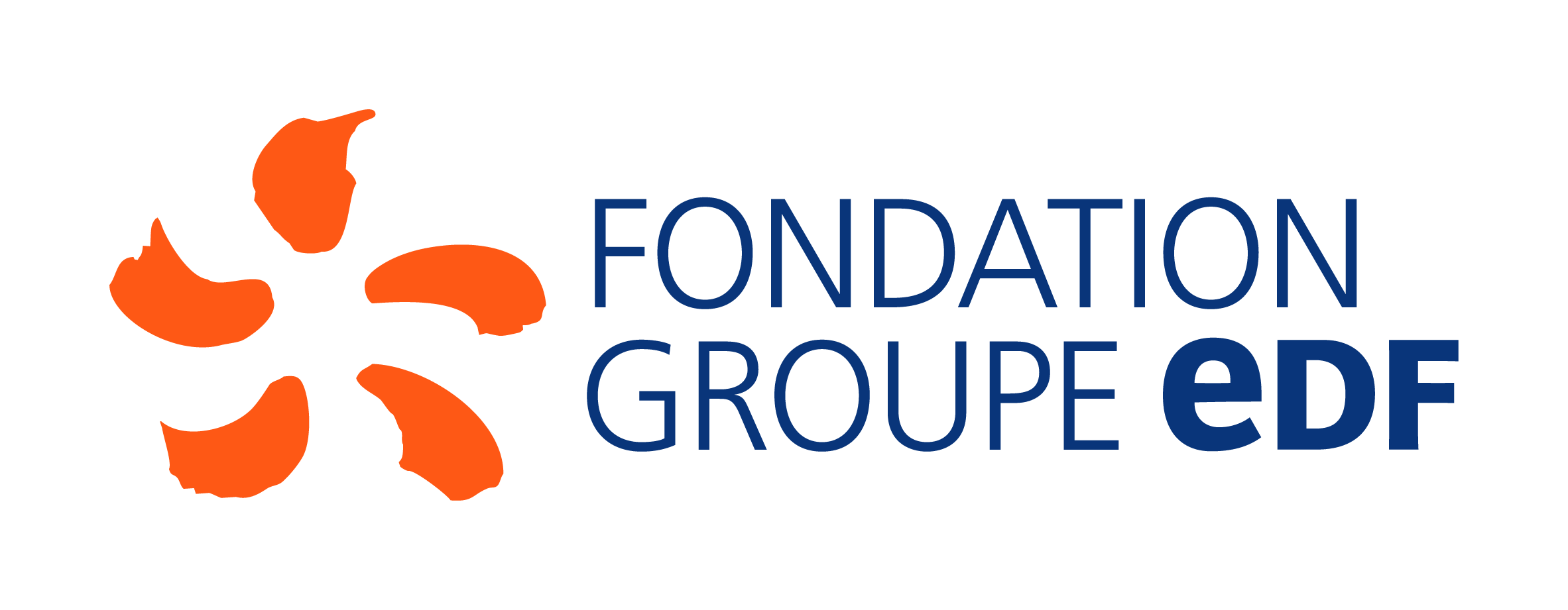 FONDATION_GROUPE_EDF_RVB (002)